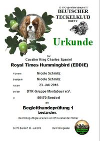 2016 07 23 DTKM BHP Urkunde Eddie