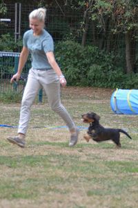 2018 08 25 DTKM AGILITY Treffen sich (19)