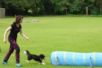 1 2018 06 23 DTKM Agility (22)ASPauli