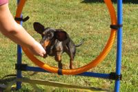 1 2019 09 21 DTKM Agility (131)AEnie